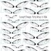 FAIRY WINGS digital collage sheet, Black & White wings, dragonfly wings magical fantasy fairies earrings printable jewelry ephemera DOWNLOAD