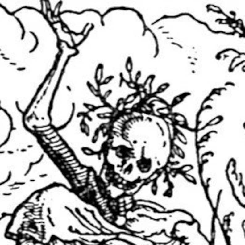 Dancing Skeletons Book