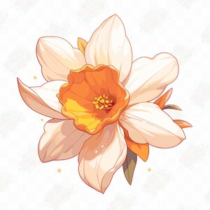 Aquarelle unique jonquille pétales délicats élégant et gracieux, mignon Kawaii Clipart haute qualité PNG Clipart Bundle, imprimable, commercial