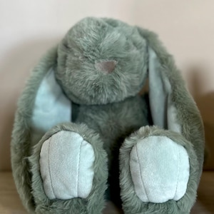パーソナライズされたイースターソフトぬいぐるみバニー（中サイズのバスケット）