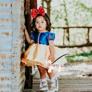 Princess Apple Satin Couture Dress, Princess Birthday dress, princess tutu,princess dress, princess costume, princess cake smash