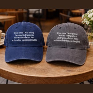 Funny Data Analyst Hat Embroidered Vintage Washed Cap, Business Intelligence Quote Cap, Tech Humor Baseball Hat Gift for Analyst