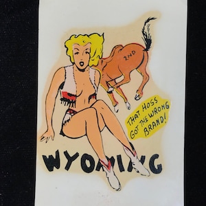 Vintage Original anni &#39;50 anni &#39;60 Western Cowgirl Horse Wyoming Pin Up Girl Travel Souvenir Car Decal