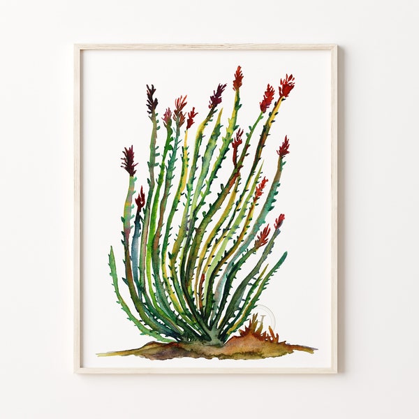 Ocotillo Cactus Watercolor Painting Print, Artwork