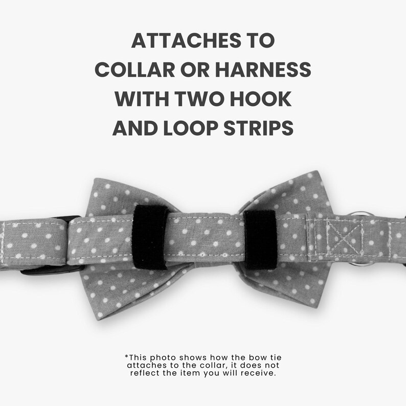 a gray bow tie with white polka dots on it