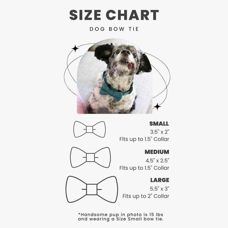 a picture of a dog wearing a bow tie
