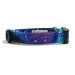 see more listings in the DOG COLLARS section