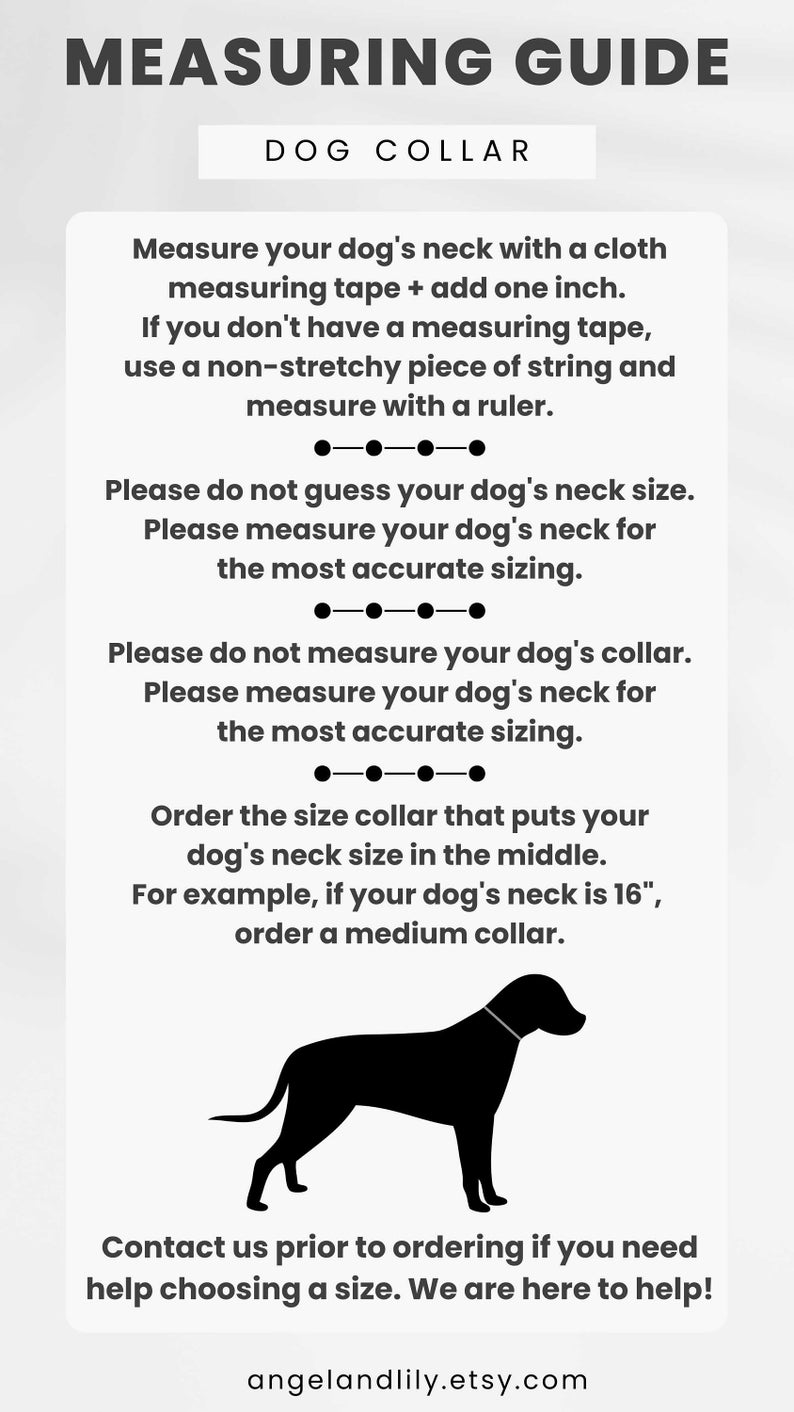 Pineapple Dog Collar and Leash Set Dark Blue Dog Collar and Etsy