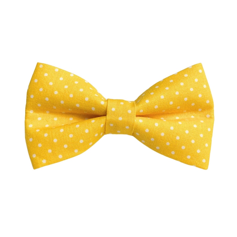 Dog Bow Tie - Golden Yellow and White Polka Dots image 1