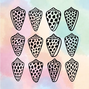 May include: A collection of twelve black and white line art illustrations of cone-shaped seashells arranged in a grid. Each shell features a distinct pattern of black spots and horizontal lines, presented against a soft, multicolored watercolor background.