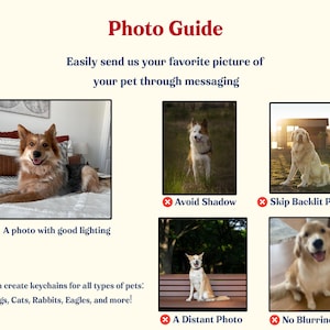 May include: A photo guide with examples of pet photos. The text reads "Easily send us your favourite picture of your pet through messaging." Examples include a dog with good lighting, and instructions to avoid shadows, backlit photos, distant photos, and blurriness. The text also states that keychains can be created for dogs, cats, rabbits, and eagles.