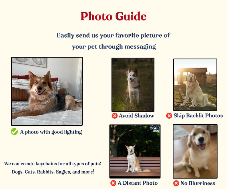 May include: A photo guide with examples of pet photos. The text reads "Easily send us your favourite picture of your pet through messaging." Examples include a dog with good lighting, and instructions to avoid shadows, backlit photos, distant photos, and blurriness. The text also states that keychains can be created for dogs, cats, rabbits, and eagles.
