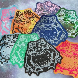 big toad - screenprinted iron on patch