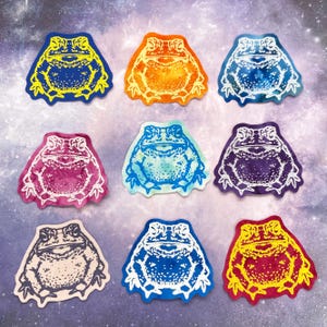 Puede incluir: Nueve pegatinas de ranas coloridas en varios tonos de azul, naranja, morado, rosa y amarillo. Cada pegatina presenta un diseño detallado de rana con un contorno blanco. Las pegatinas están dispuestas sobre un fondo con un patrón de galaxia.