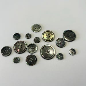 Natural Seashell Buttons: Sewing & Craft Supplies - 7 Sizes