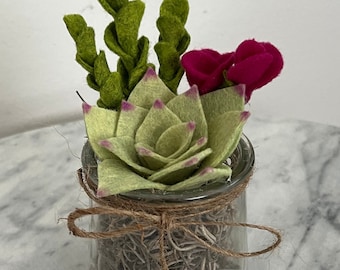 Succulent/Felt Plant/Felt Flower/Gift For Her Birthday/Home Decor/Cute Shelf Decoration/Minimal Home Decor/Plant/Gift for Plant Lover/Office