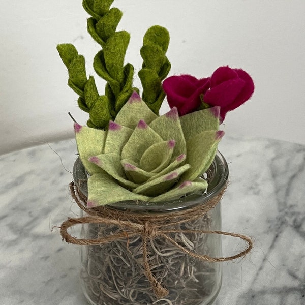 Succulent/Felt Plant/Felt Flower/Gift For Her Birthday/Home Decor/Cute Shelf Decoration/Minimal Home Decor/Plant/Gift for Plant Lover/Office