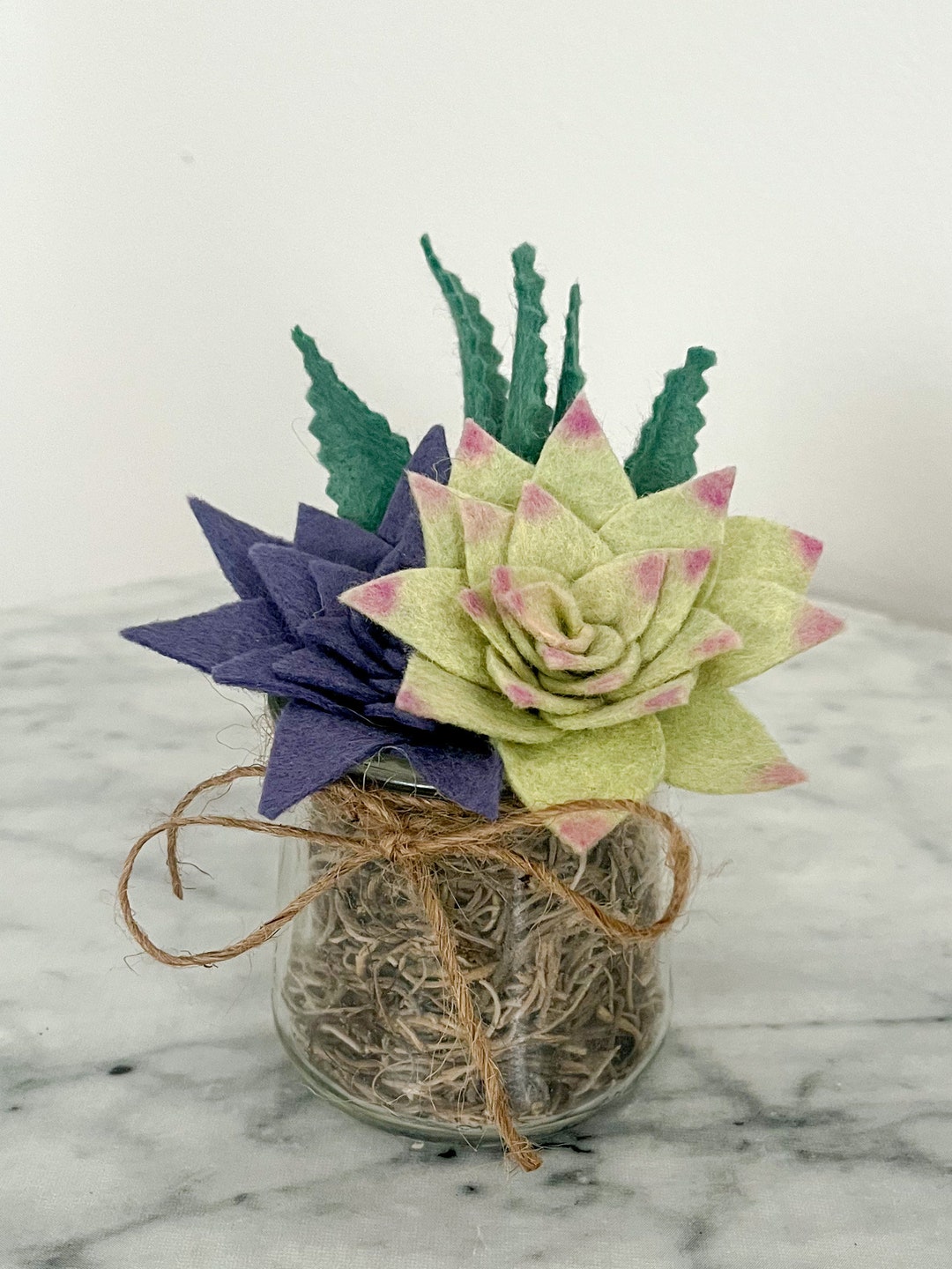 Felt Succulent Plant Home Decor for Minimalist Style Glass Etsy