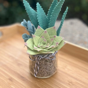 Felt succulent/Handcrafted Felt Succulents with Natural Elements in Upcycled Glass Jar/Succulent Pot/Succulents/Free Shipping/Eco-friendly