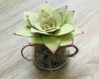 Felt Succulent Plant Gift for Succulent Lover Natural Home Decor Dorm Room Decor Felt Plant Office Decor Gift for Teacher Back to School