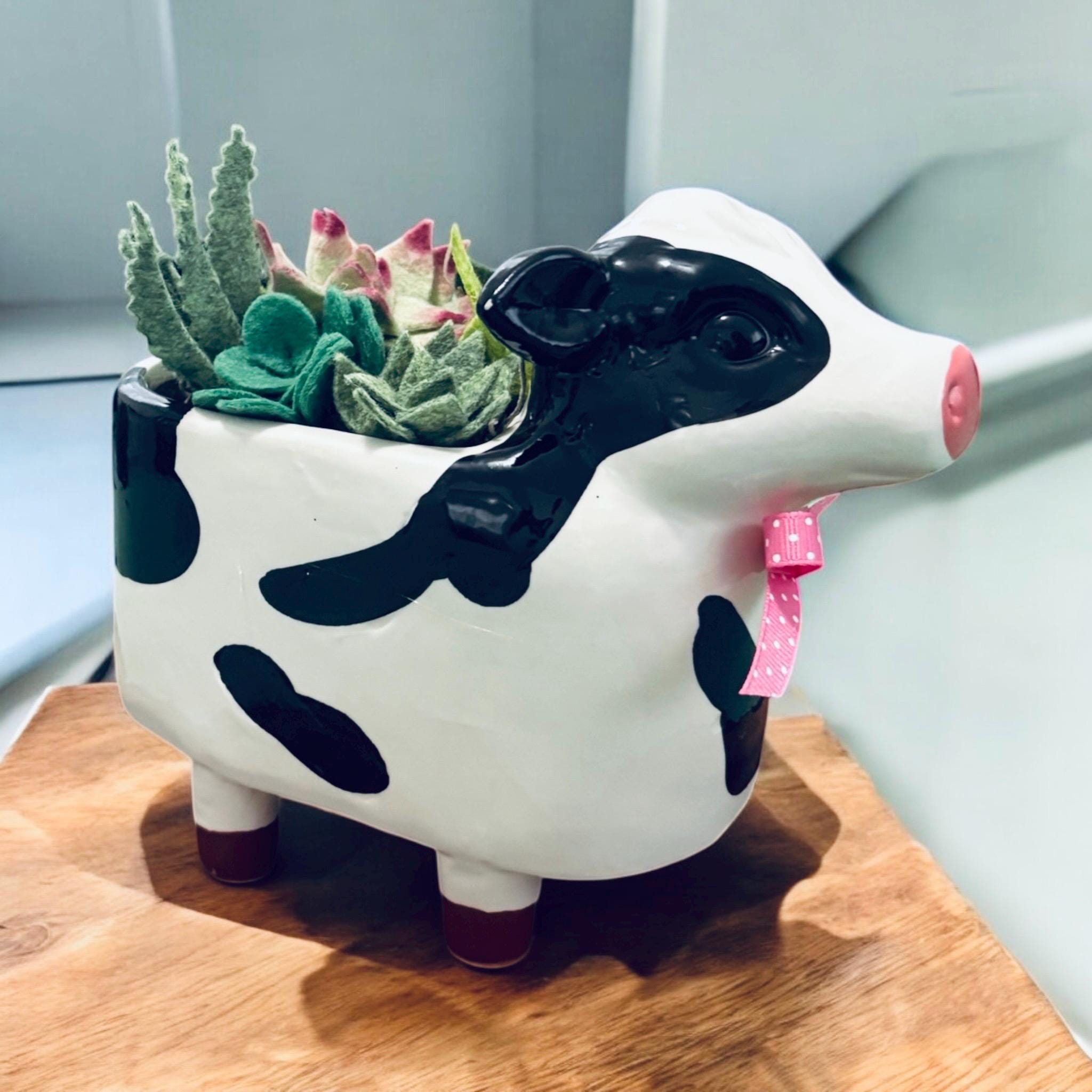 Succulents, Mini Succulents, cow Gift, Cow Theme, Hostess Gift, Housewarming Gift, Bookshelf Decoration, Succulent Garden, Farm Decor, Cow