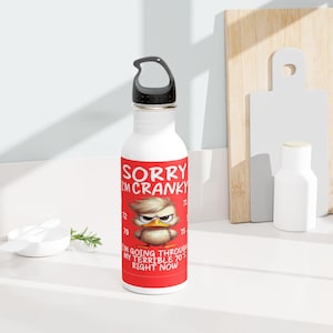Bouteille d'eau Cranky Bird | Cadeau amusant pour les enfants des années 70, verres uniques en acier inoxydable, cadeau d'anniversaire humoristique, style rétro amusant