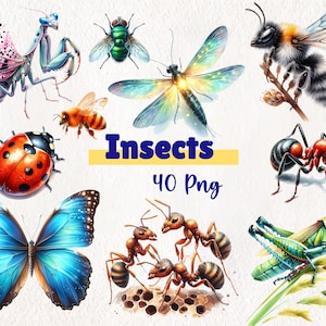 Watercolor Insects Clipart | Commercial Use PNG Files | DIY Craft Supplies | 40 PNG Instant Download | Insects