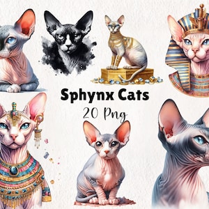 Clipart aquarelle chats Sphynx, téléchargement numérique chat, imprimables art félin, graphismes pour amoureux des chats, fournitures créatives | 20 PNG à téléchargement immédiat