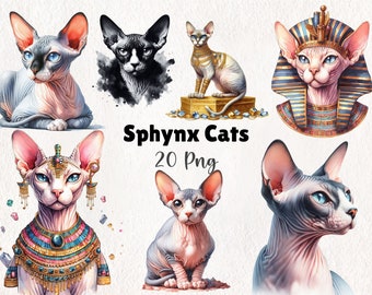 Watercolor Sphynx Cats Clipart, Cat Digital Download, Feline Art Printables, Cat Lover’s Graphics, Craft Supplies | 20 PNG Instant Download