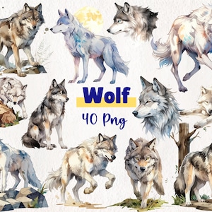 Aquarell Wolf Clipart | Handgemalte Wolf Illustration | Wilde Tiere Kunst für Bastelarbeiten & DIY-Projekte | 40 PNG Sofortdownload.