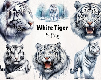 Watercolor White Tiger Clipart | High-Resolution Digital Art for DIY Projects | 15 PNG Instant Download