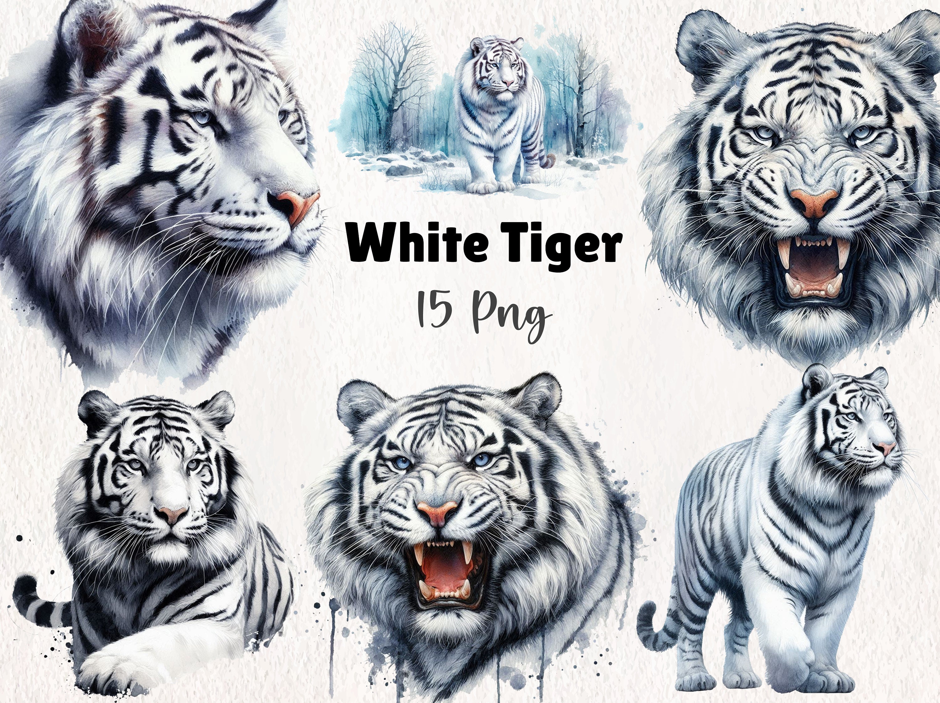 Watercolor White Tiger Clipart | High-resolution Digital Art for DIY ...