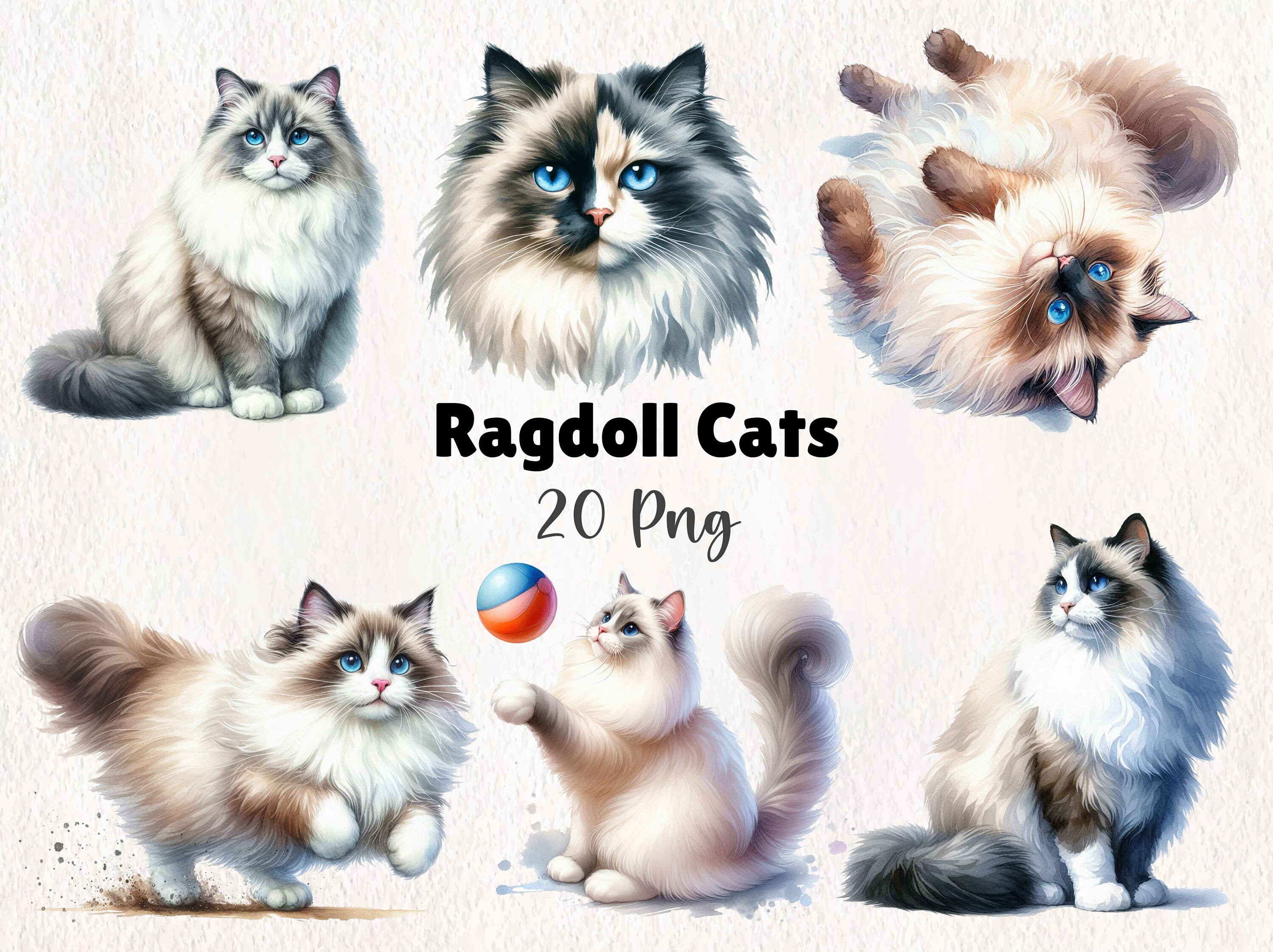 Watercolor Ragdoll Cats Clipart, Cat Digital Download, Feline Art Printables, Cat Lover’s Graphics, Craft Supplies | 20 PNG Instant Download