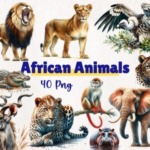 Watercolor Jungle Animals Clipart – 40 PNG Set