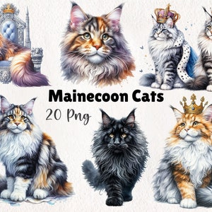 Aquarelle chats Mainecoon Clipart | Téléchargement numérique de chat, impressions d'art félin, graphismes pour amoureux des chats | 20 PNG à téléchargement immédiat