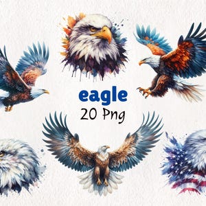 Watercolor Eagle Clipart | Bald Eagle PNG | Flying Eagle Illustration | Patriotic Bird Art | Wildlife Digital Download | 20 Digital Download