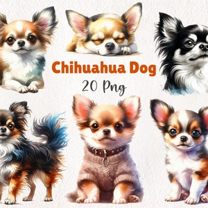 Watercolor Chihuahua Dog Clipart | Cute Chihuahua Puppy Digital Art |  Pet Illustration | Dog Lover’s Graphics | 20 PNG Instant Download