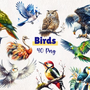 Clipart de pássaros em aquarela | Arquivos PNG de uso comercial | Download instantâneo de 40 png | Aves | Arte para projetos DIY.