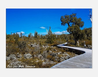 Arte murale paesaggistica, stampa su tela, regalo per la casa, inaugurazione della casa, arredamento, Pine Lake Walk, Tasmania