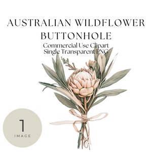Puede incluir: Una ilustración acuarela rosa y verde de un ramo de flores de protea atado con una cinta. El ramo está sobre un fondo blanco.  Australian Wildflower Buttonhole. Commercial Use Clipart. Single Transparent PNG.