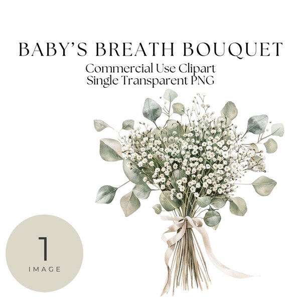 Breathtaking Baby's Breath: Delicate Gypsophila Bouquet Clipart for Creators Single Transparent PNG