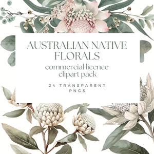 May include: A digital illustration of 24 watercolor-style Australian native floral clipart images. The images feature proteas, eucalyptus leaves, and other native flowers in shades of green, white, and pink. The text "AUSTRALIAN NATIVE FLORALS commercial licence clipart pack 24 TRANSPARENT PNGS" is displayed on a white background.