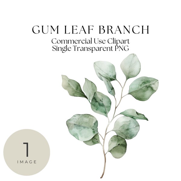 Floral Clipart, Single Image, Leaf clip art, Gum leaves, Floral Clipart Watercolor, Digital Clip Art, transparent png