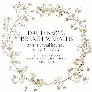 Coroa de clipart floral de respiração de bebê - coroa de gipsófila de respiração de bebê seca - coroa de flores clipart - coroa de flores - transparente png