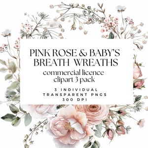 Baby adem bloemen clipart en roze roos krans-gypsophila krans clipart-bloemen krans clipart-commerciële clipart transparante png