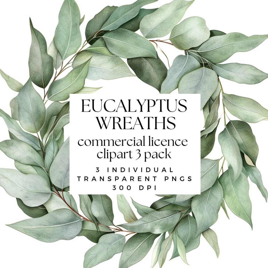 Eucalyptus Wreath Clipart - Wreath Clipart - Eucalyptus Clipart ...