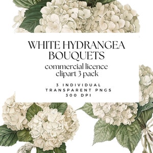 Weiße Hortensien Blumensträuße Clipart - Florale Clipart - Hortensien Blumenstrauß - Hochzeit Clipart - Hortensien Clipart - Kommerzielle Nutzung Transparent png