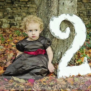 LARGE WOODEN NUMBERS Large Wooden Number 4 Baby's 4th Birthday Birthday Photo Props Birthday Party Decoration Hand Painted Numbers image 2