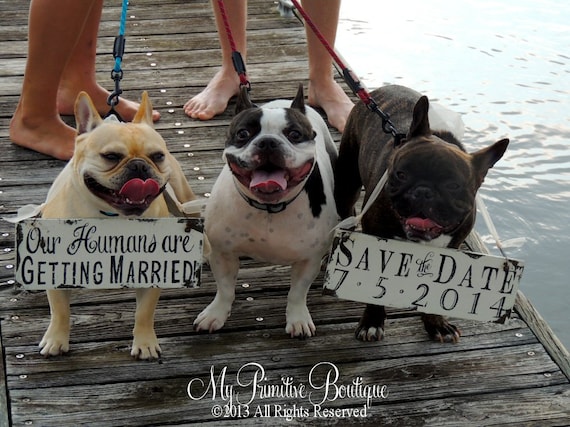 Our Humans are Getting Married | Rustic Save The Date Signs | Engagement Signs for the Dogs | Dog Photo Props | Wooden Signs | Wedding Pets