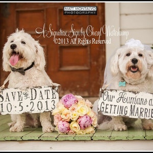 May include: Two white dogs dressed in wedding attire hold signs announcing their human's wedding date. The dog on the left holds a sign that says "Save the Date 10.5.2013". The dog on the right holds a sign that says "Our Humans are Getting Married!"